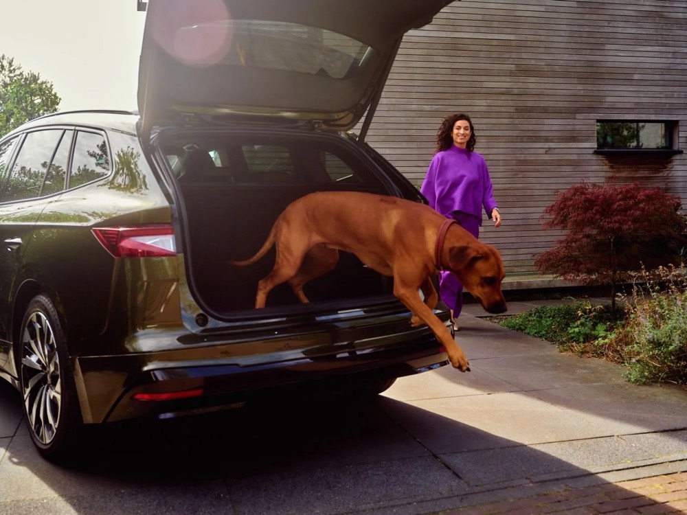 Hund springt zu Hause aus dem Auto, Shooting für Athlon Car Lease in Amsterdam
