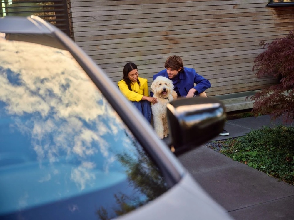 Paar kuschelt zu Hause mit seinem Hund, Shooting für Athlon Car Lease in Amsterdam