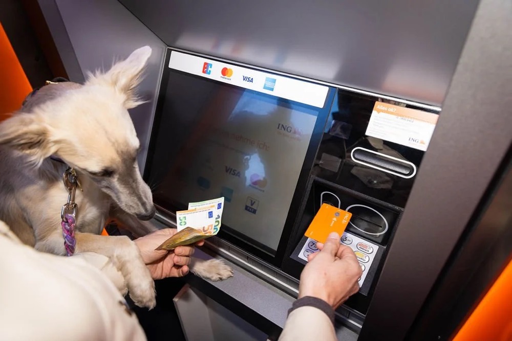 Hund sitzt neben einer Person am Geldautomaten, Bespoke-Shooting für ING