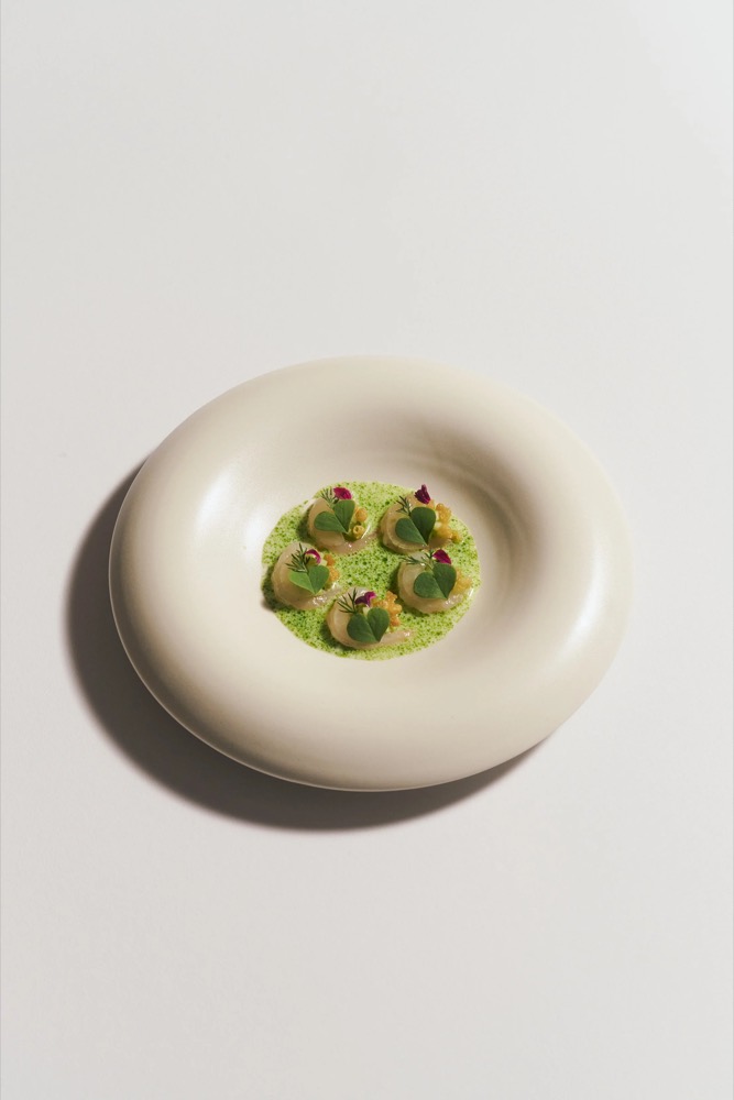 Grünes Gericht in einer flachen weißen Schale, Foodfotografie für das Restaurant Rausch