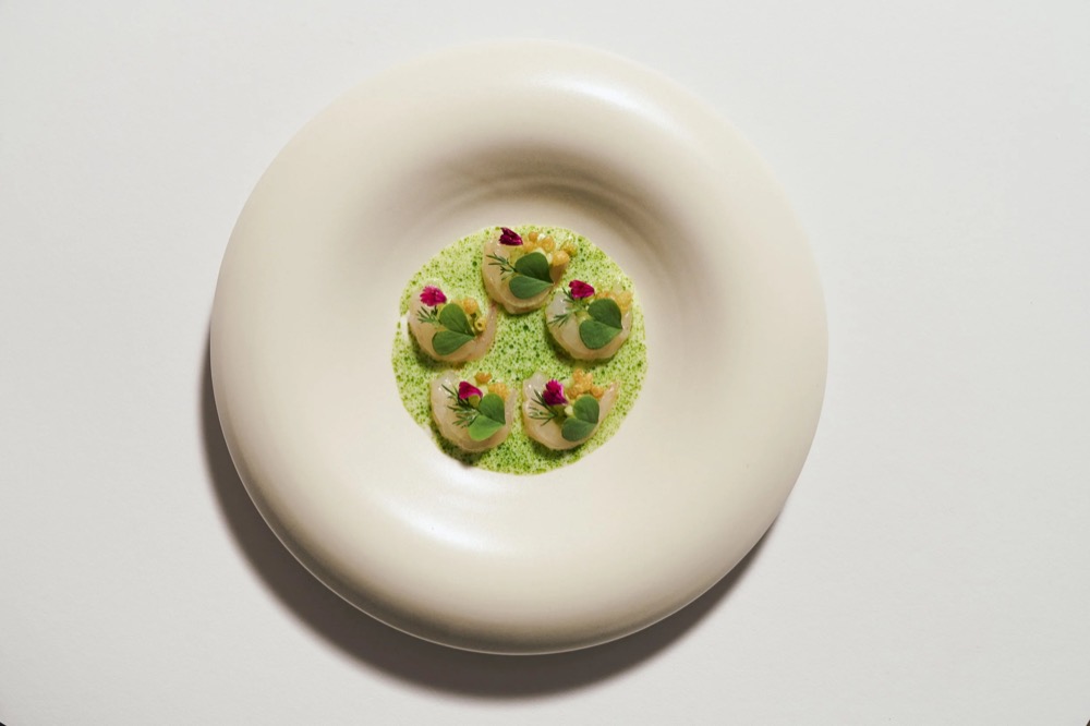 Vorspeise mit grüner Sauce in einer weißen Schale, Foodfotografie für das Restaurant Rausch