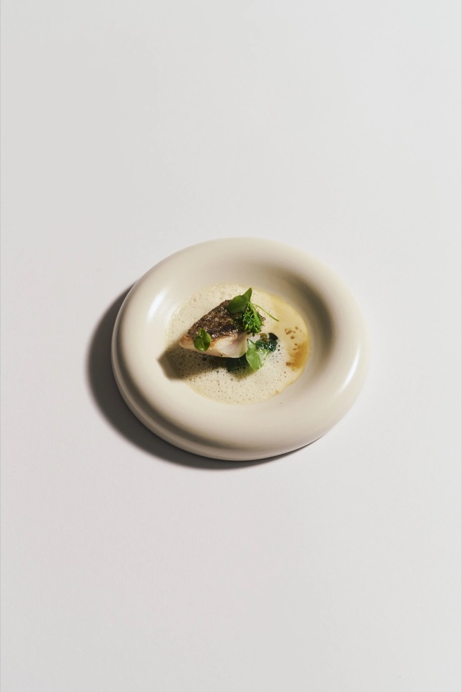 Fischgericht mit Grünzeug auf einem weißen Teller, Foodfotografie für das Restaurant Rausch