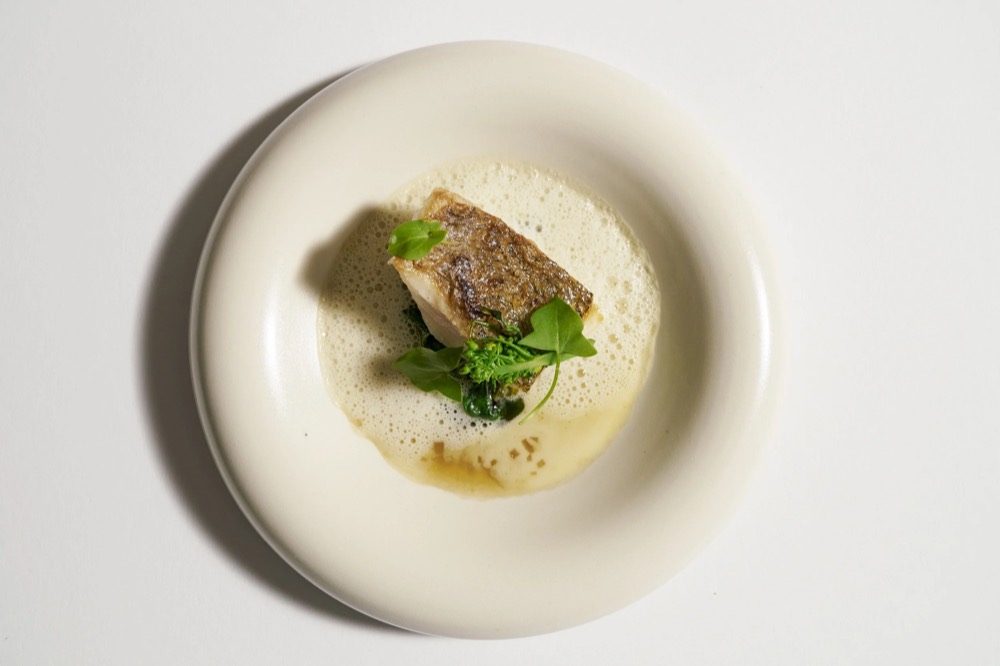 Fisch mit Kräutern in einer weißen Schale, Nahaufnahme, Foodfotografie für das Restaurant Rausch