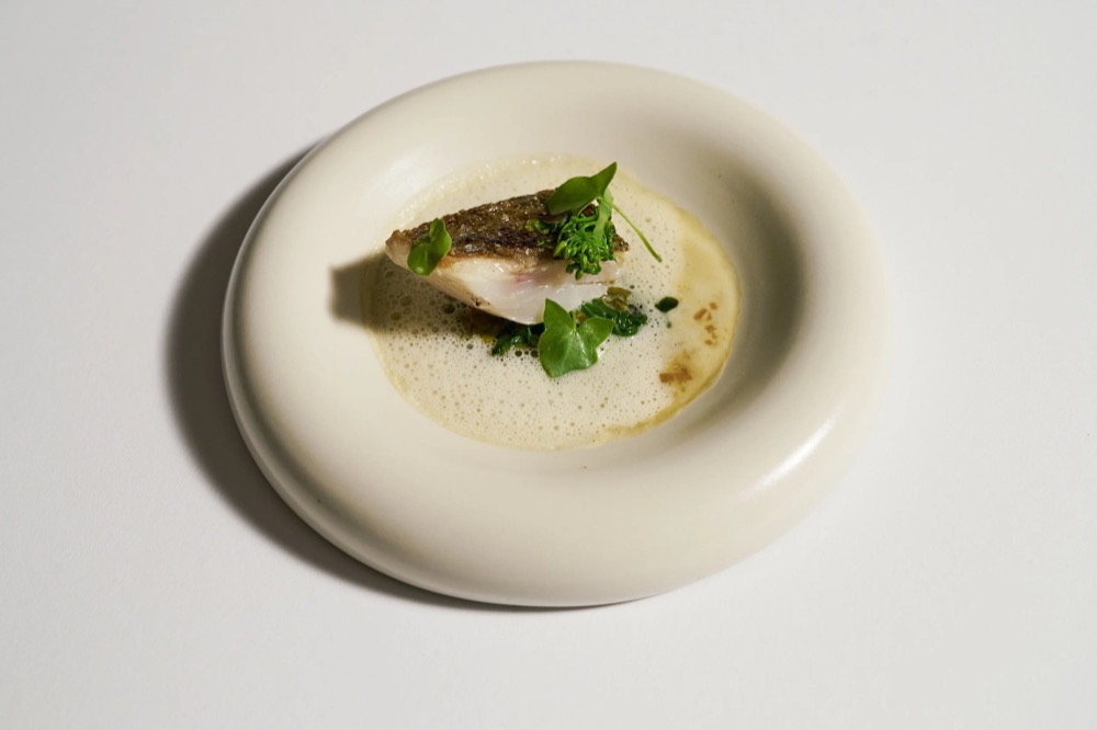 Angerichteter Fisch mit frischen Kräutern, seitlich, Foodfotografie für das Restaurant Rausch