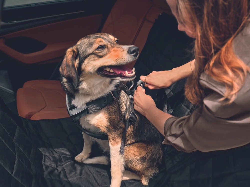 Frau mit ihrem Hund im Kofferraum eines Škoda Kodiaq, Škoda-Zubehörkampagne